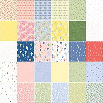 Kites On The Wind, Riley Blake Fat Quarter Bundle, 30-piece, FQ-11850 ...