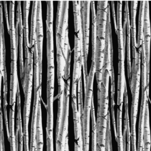 Windham Fletcher Flannel Black Birch Forest