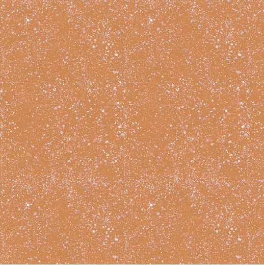 Dinosaurs Everywhere Quilt Kit