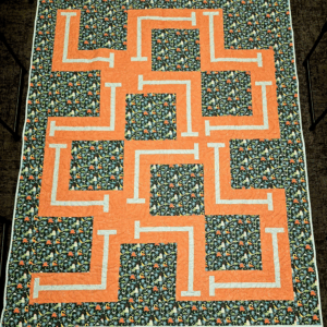 Dinosaurs Everywhere Quilt Kit