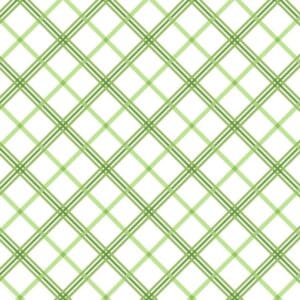 Maywood Studio Kimberbell Basics Bias Green Plaid #MAS8262-G