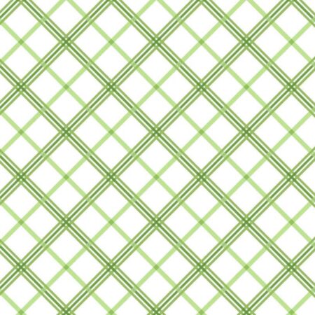 Maywood Studio Kimberbell Basics Bias Green Plaid #MAS8262-G