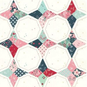 Riley Berry Market 108-Wide Star Cheater WB15748-Multi