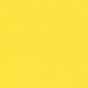 Paintbrush Studio Painters Palette Solid Daisy 121-139