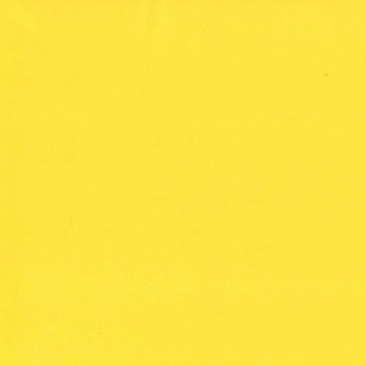 Paintbrush Studio Painters Palette Solid Daisy 121-139