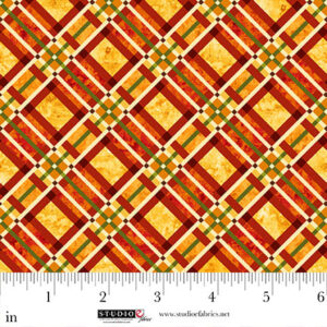Studio E Autumn Fields Bias Plaid