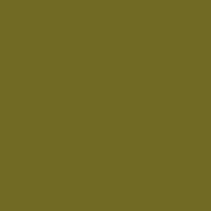 Paintbrush Studio Painters Palette Solid Old Green