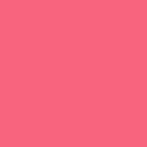 Painter's Palette Solids Hot Pink