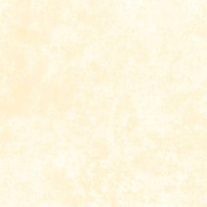 Maywood Studio Shadow Play Cream