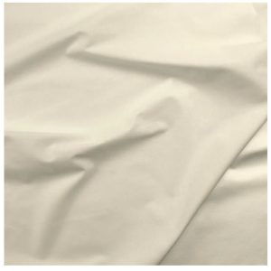 Paintbrush Studio Painters Palette Solid Rice Paper