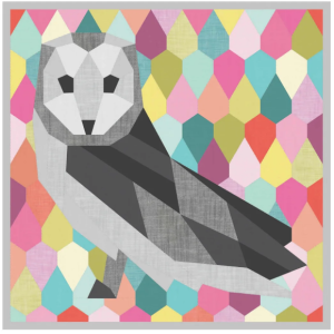 The Barn Owl: an EPP Project