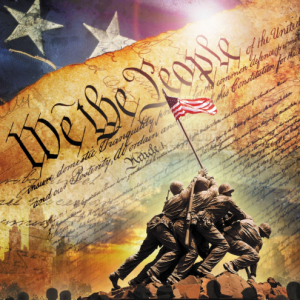 David Textiles 36" Constitution Panel