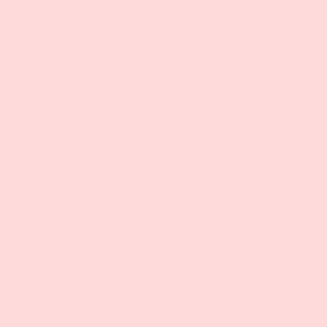 Paintbrush Studio Painters Palette Solid Petal Pink