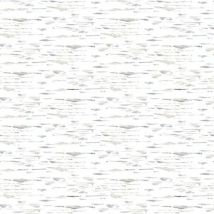 Studio E Winter White Gray Birch