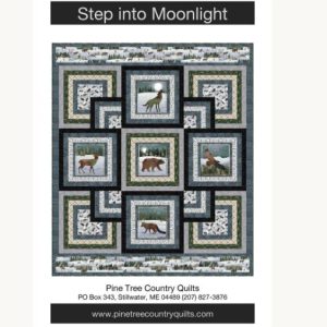 Step Into Moonlight Pattern