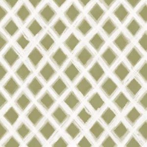 Hydrangea Reverie Lattice Green