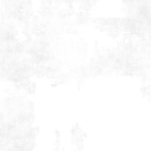 Wilmington Dry Brush White-on-White