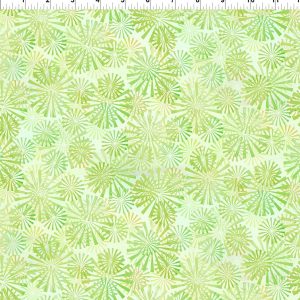 Felicity Green Rays