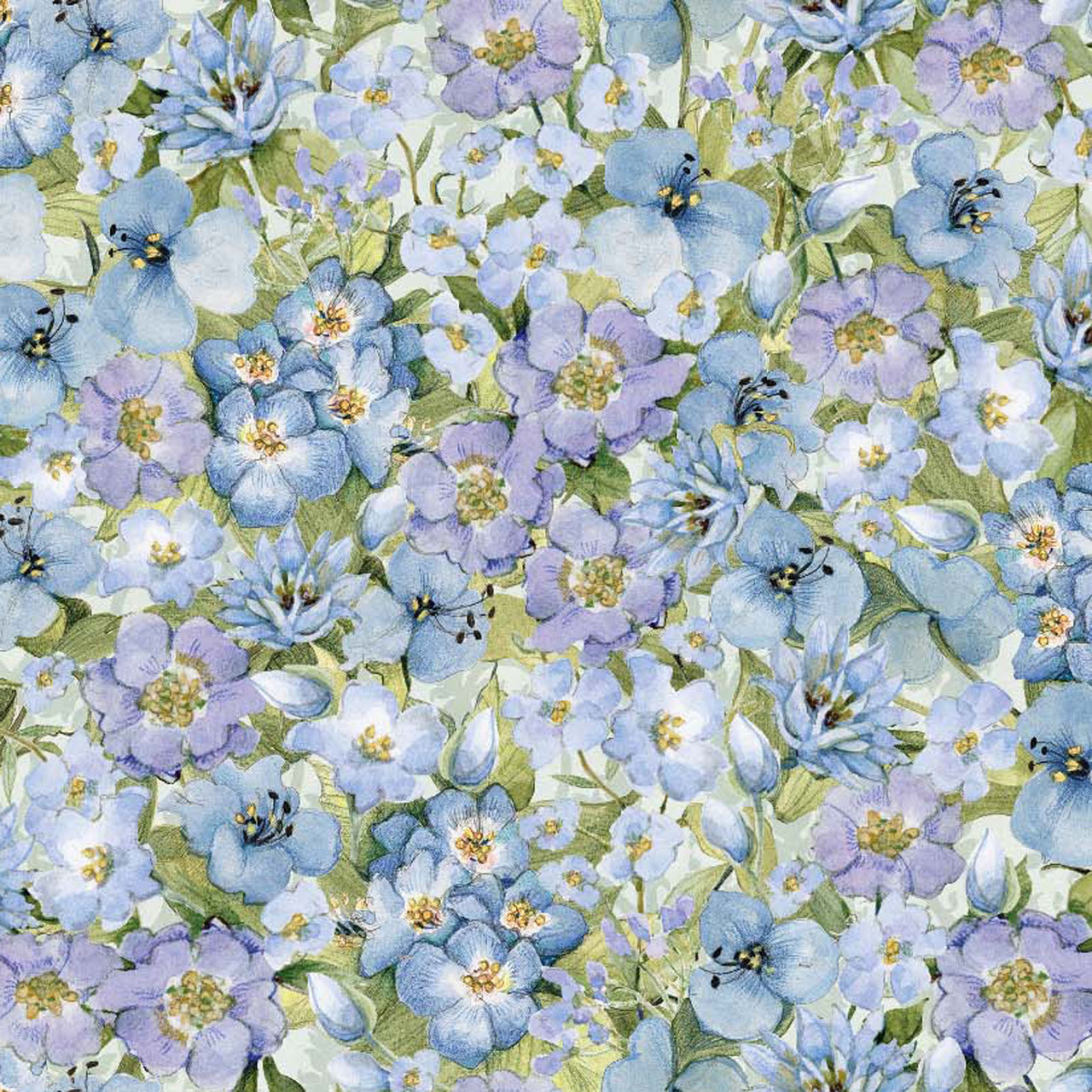 Sweet as Can Bee Packed Floral