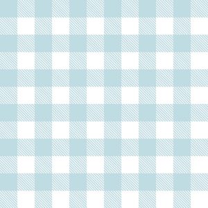 AE Nathan Comfy Flannel White & Blue Check