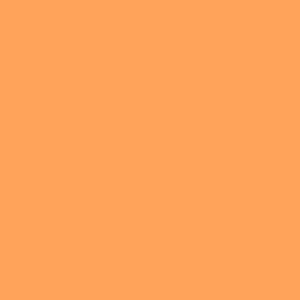 Painters Palette Solids Butterscotch