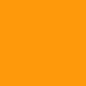 Painter's Palette Solids Clementine