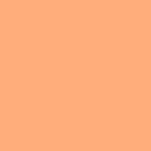 Painters Palette Solids Apricot