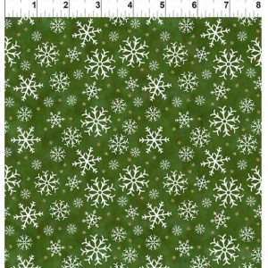 Winter Solstice II Snowflakes Green