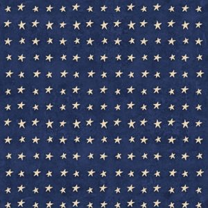Love & Glory Set Ditsy Stars Navy