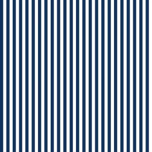 Riley Blake Stripes Navy 1/4"