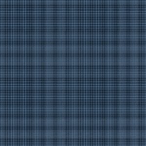 American Valor Tonal Navy Plaid