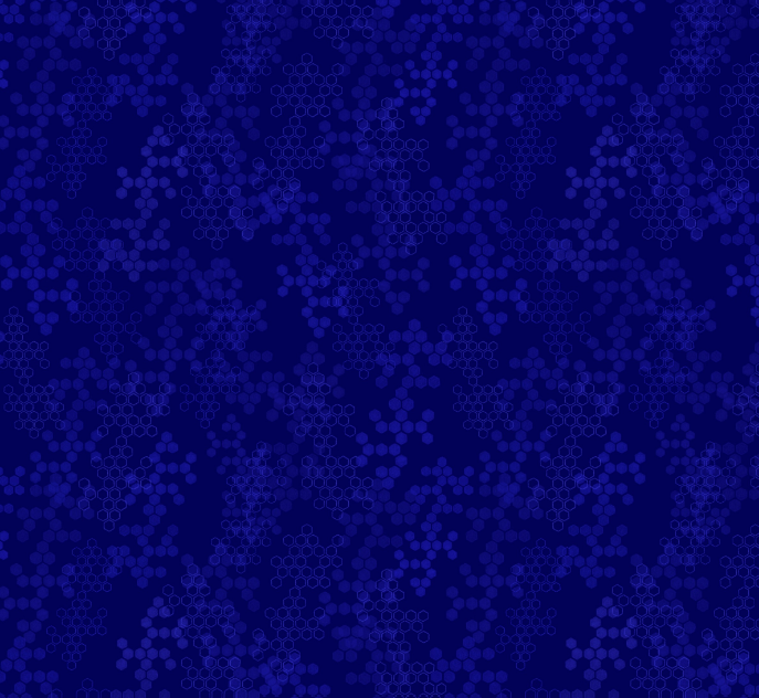 All MO Shop Hop ’26 Hexagon Tonal Navy