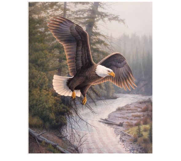 Riley Blake Majestic in Nature 36″ Eagle Patriot Panel