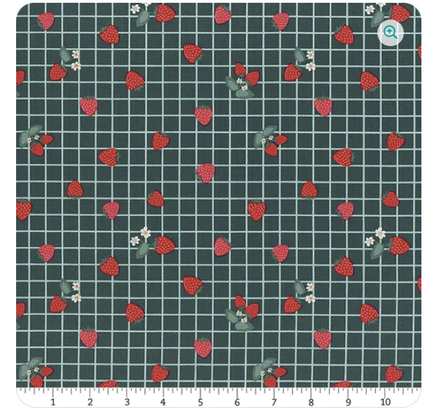 RIiley Blake Berry Market Gingham Stargazer